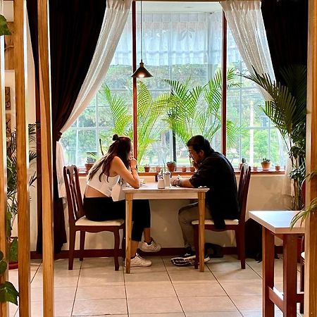 Quito Terrace Vandrehjem Eksteriør billede
