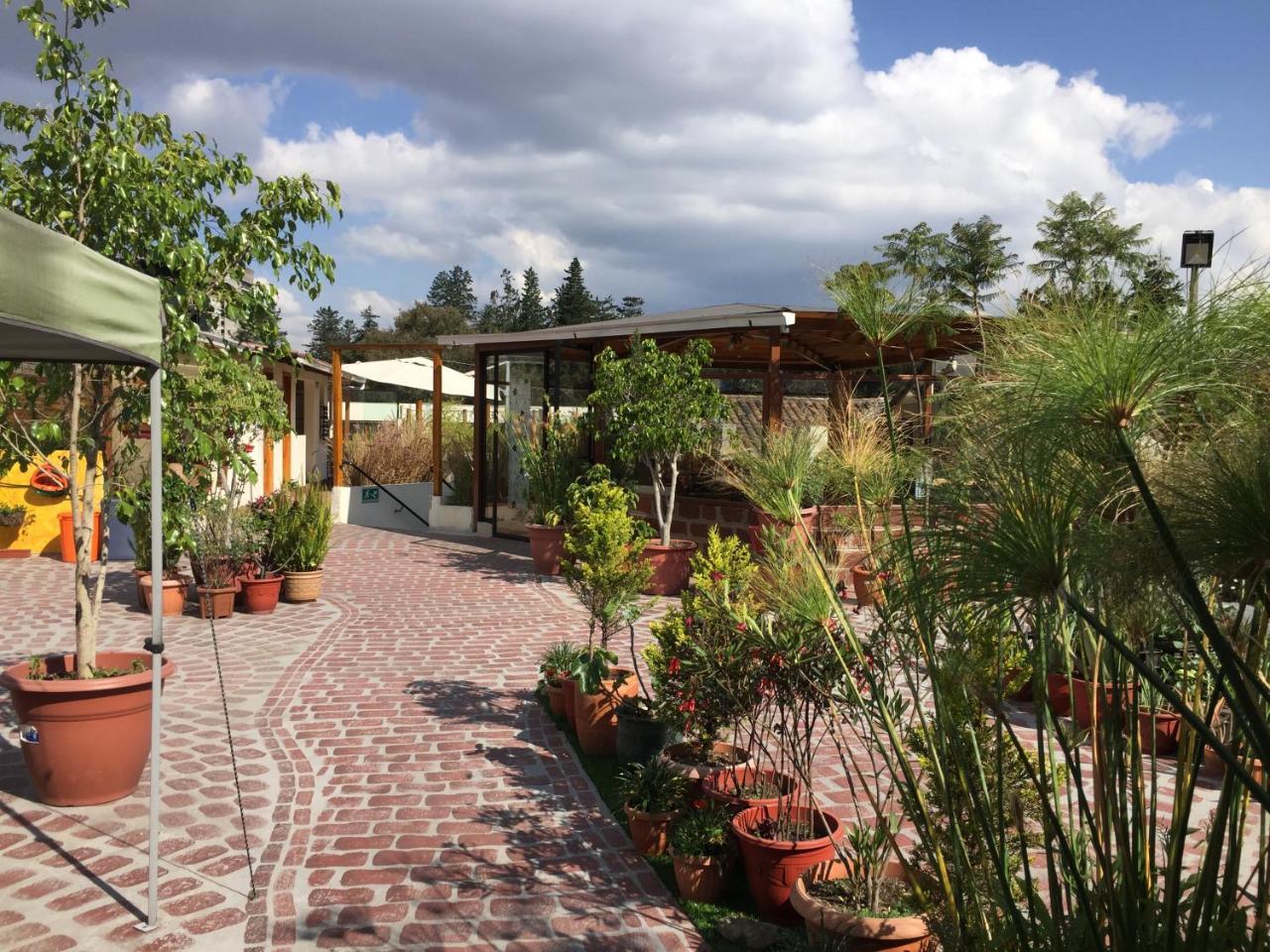 Quito Terrace Vandrehjem Eksteriør billede